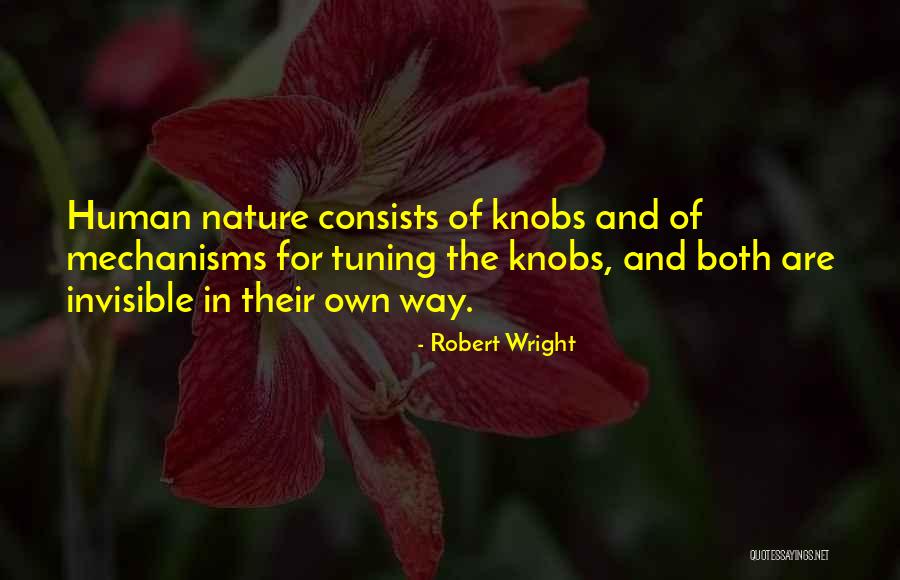 Tuning In To Yourself Quotes By Robert Wright Tuning In To Yourself Quotes By Robert Wright