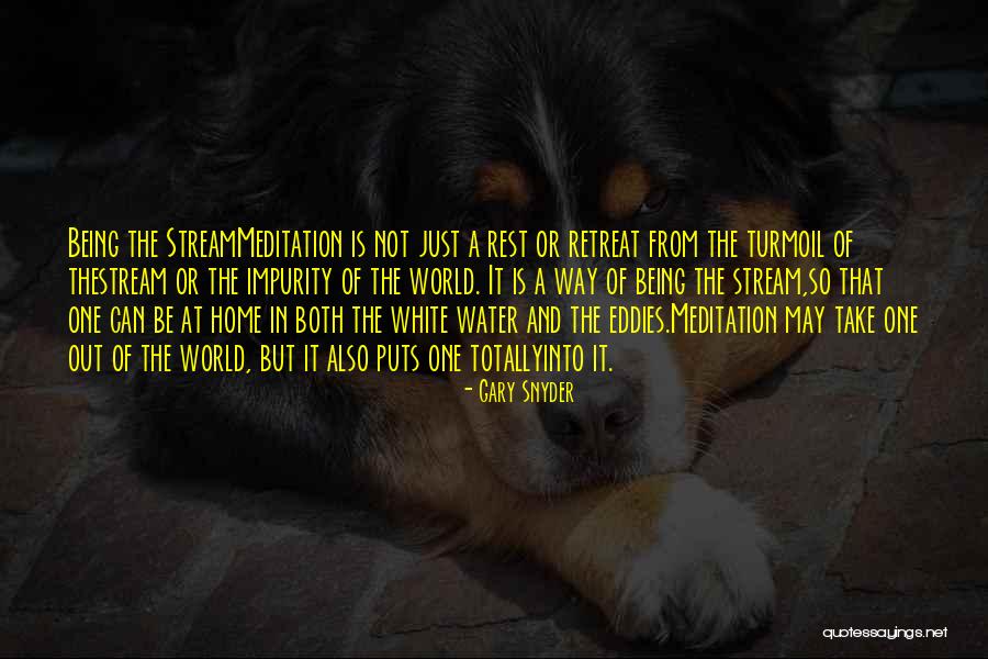 Tunings For Lap Quotes By Gary Snyder Tunings For Lap Quotes By Gary Snyder