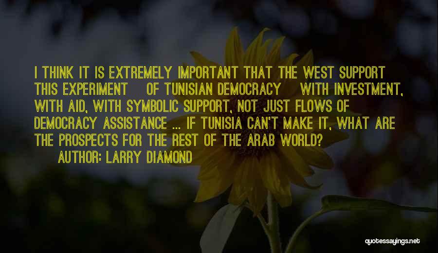 Tunisia Quotes By Larry Diamond