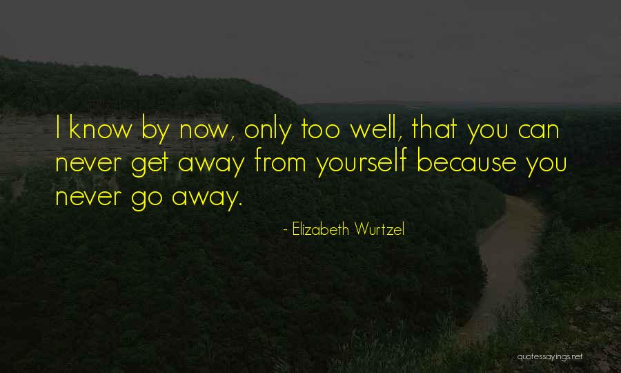 Tunnel Form Quotes By Elizabeth Wurtzel Tunnel Form Quotes By Elizabeth Wurtzel