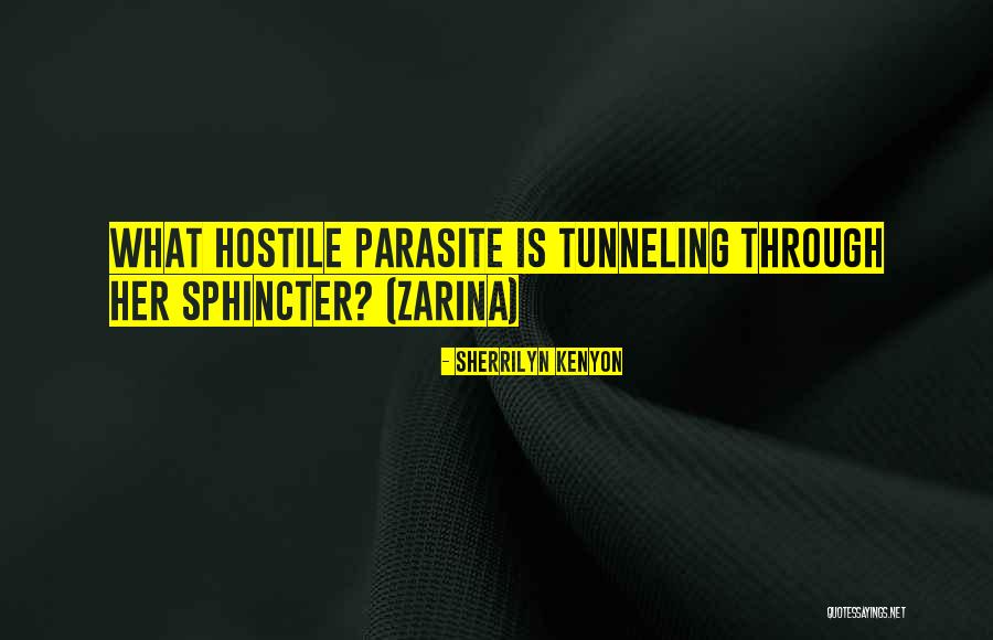 Tunneling Quotes By Sherrilyn Kenyon Tunneling Quotes By Sherrilyn Kenyon