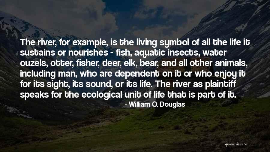 Tuozzolo Pavers Quotes By William O. Douglas Tuozzolo Pavers Quotes By William O. Douglas