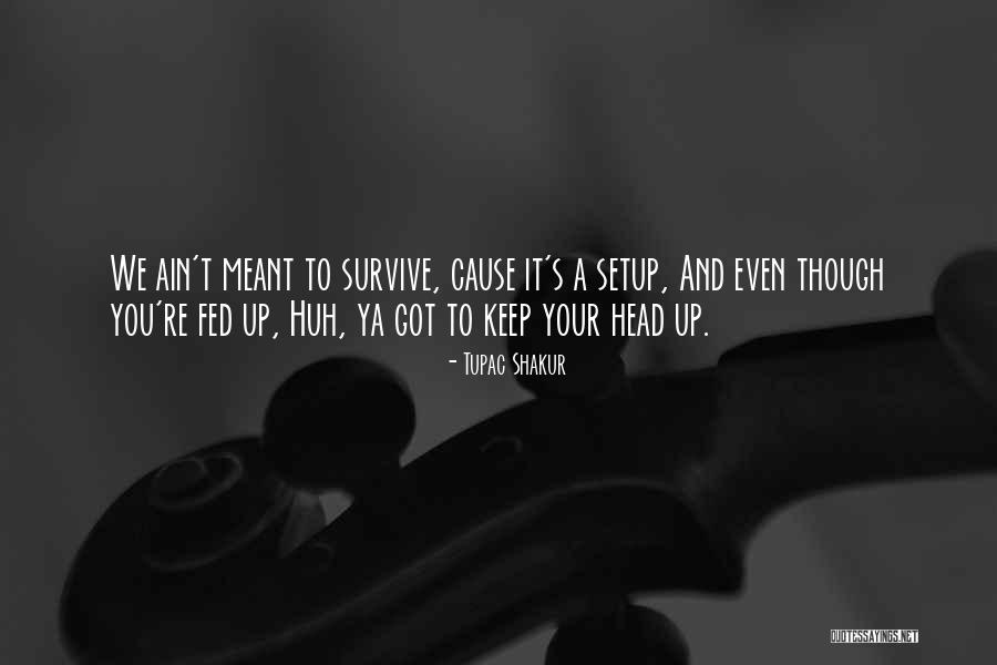 Tupac Head Up Quotes By Tupac Shakur Tupac Head Up Quotes By Tupac Shakur