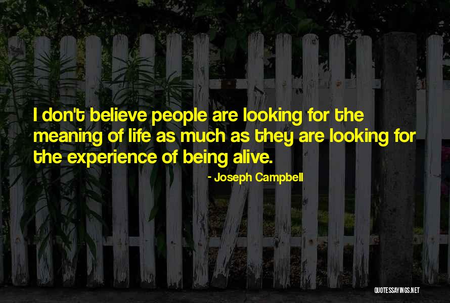 Turan Quotes By Joseph Campbell Turan Quotes By Joseph Campbell