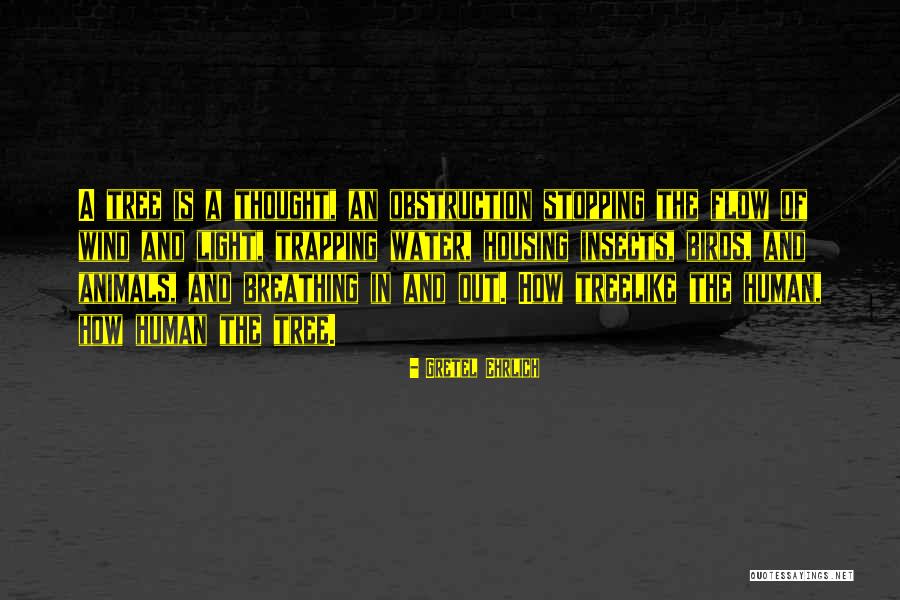 Turbaned Quotes By Gretel Ehrlich Turbaned Quotes By Gretel Ehrlich