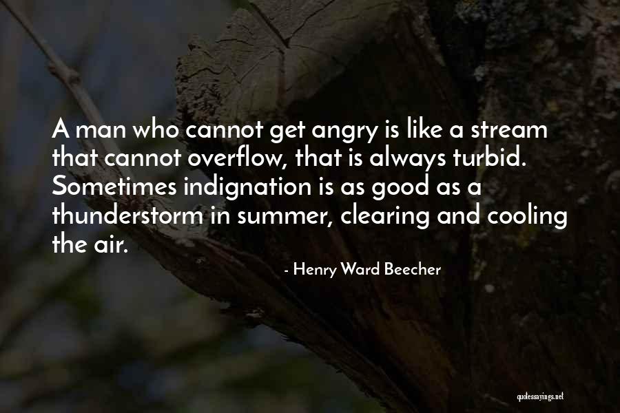 Turbid Quotes By Henry Ward Beecher