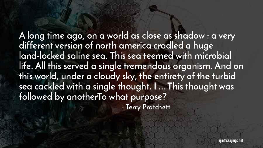 Turbid Quotes By Terry Pratchett