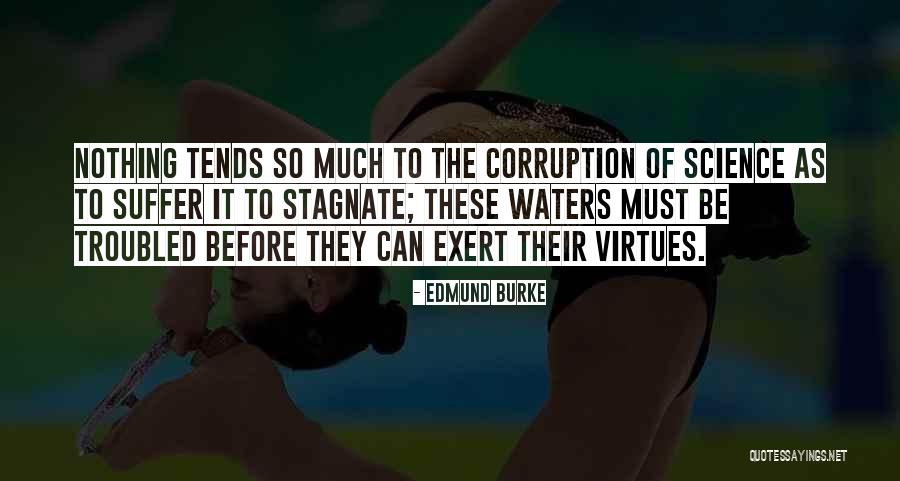 Turbio Significado Quotes By Edmund Burke Turbio Significado Quotes By Edmund Burke