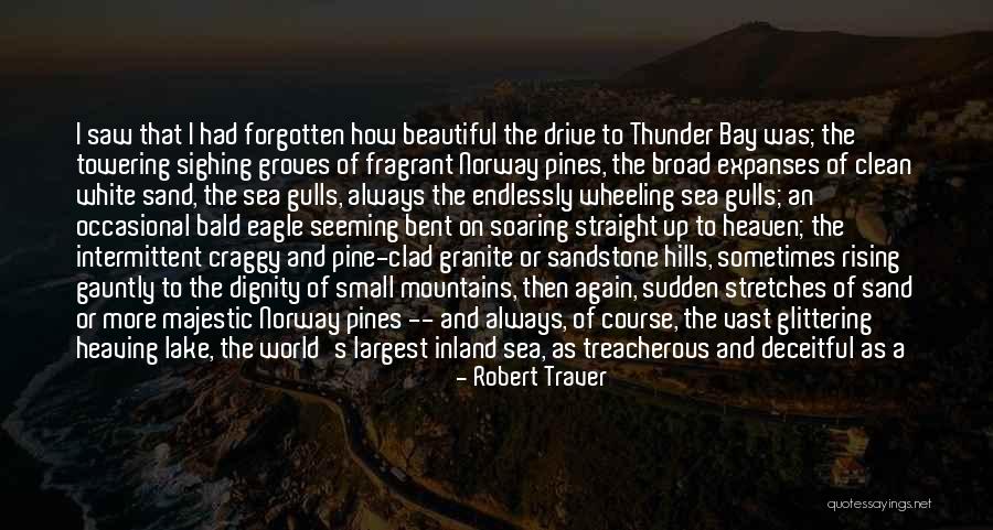 Turbulent Sea Quotes By Robert Traver