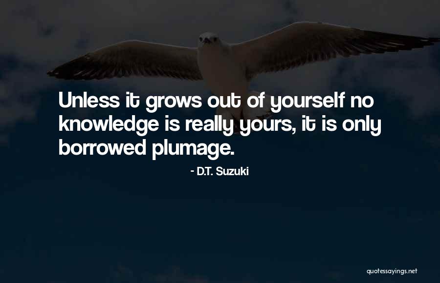 Turchetti Salumeria Quotes By D.T. Suzuki Turchetti Salumeria Quotes By D.T. Suzuki