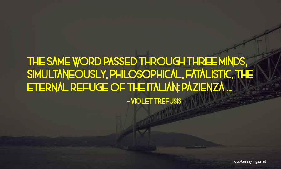 Turchin Cycle Quotes By Violet Trefusis Turchin Cycle Quotes By Violet Trefusis