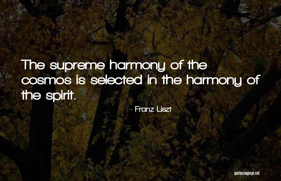 Turcos Bailando Quotes By Franz Liszt Turcos Bailando Quotes By Franz Liszt