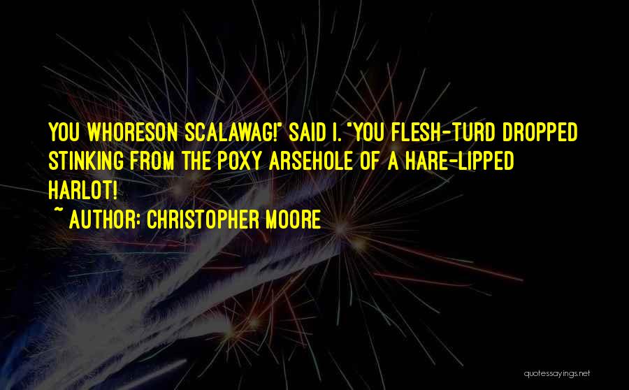 Turd Quotes By Christopher Moore