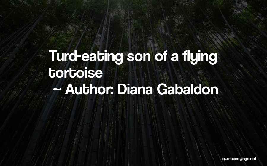 Turd Quotes By Diana Gabaldon