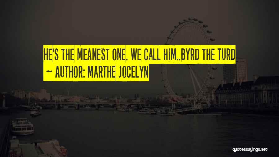 Turd Quotes By Marthe Jocelyn