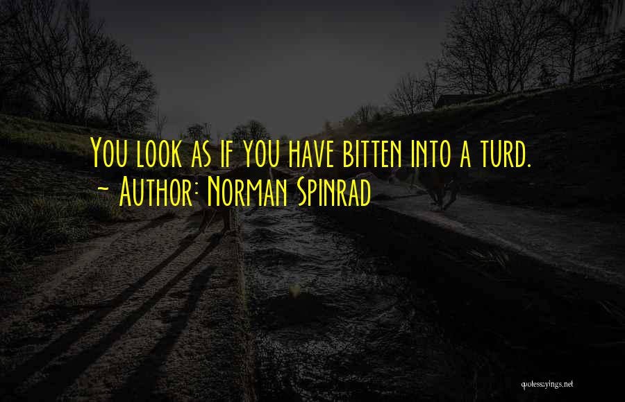 Turd Quotes By Norman Spinrad