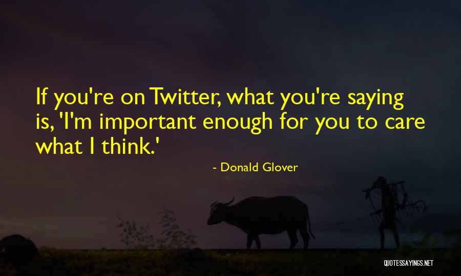 Turhan Kaya Quotes By Donald Glover