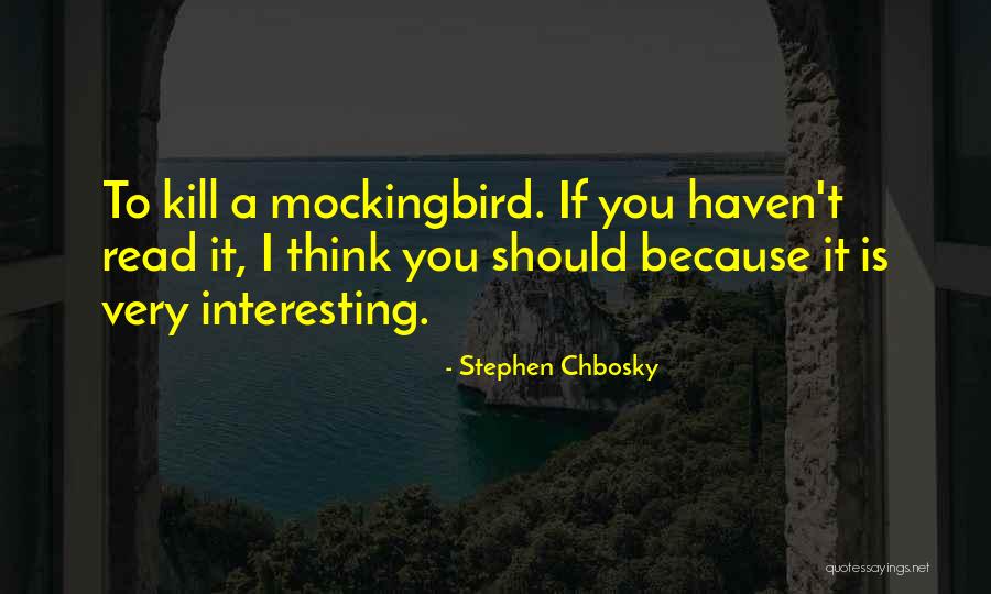 Turilli Quotes By Stephen Chbosky Turilli Quotes By Stephen Chbosky