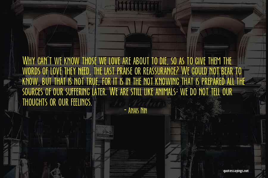 Turisttrade Quotes By Anais Nin Turisttrade Quotes By Anais Nin