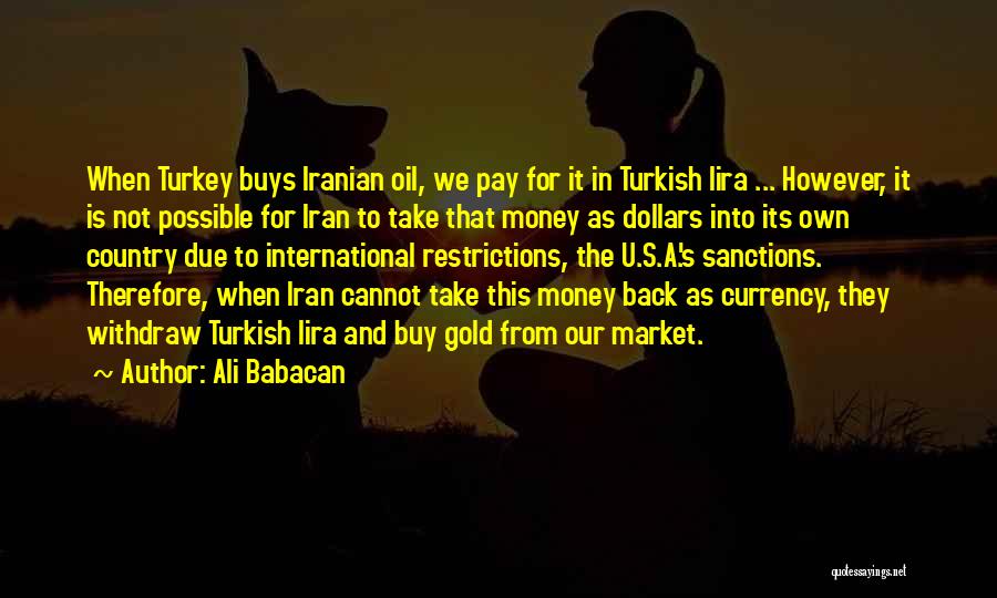 Turkey Country Quotes By Ali Babacan