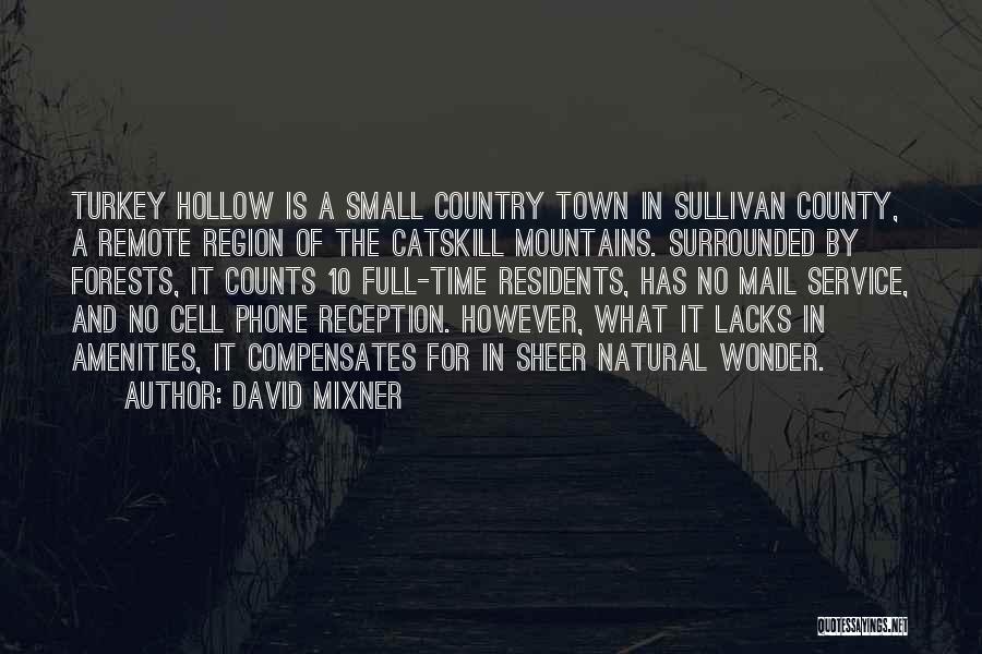 Turkey Country Quotes By David Mixner