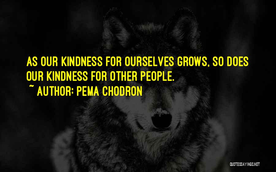 Turkey Quotes Quotes By Pema Chodron