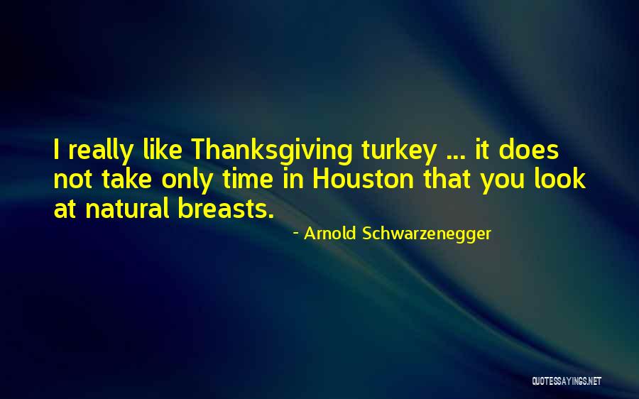 Turkeys And Thanksgiving Quotes By Arnold Schwarzenegger Turkeys And Thanksgiving Quotes By Arnold Schwarzenegger