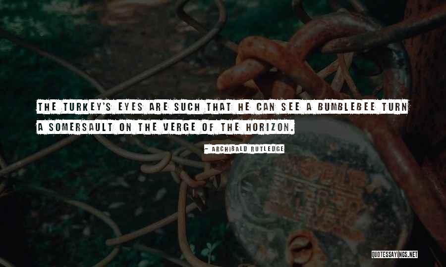 Turkeys Quotes By Archibald Rutledge