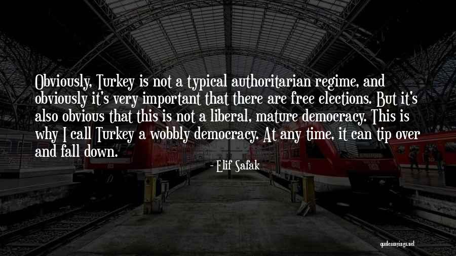 Turkeys Quotes By Elif Safak