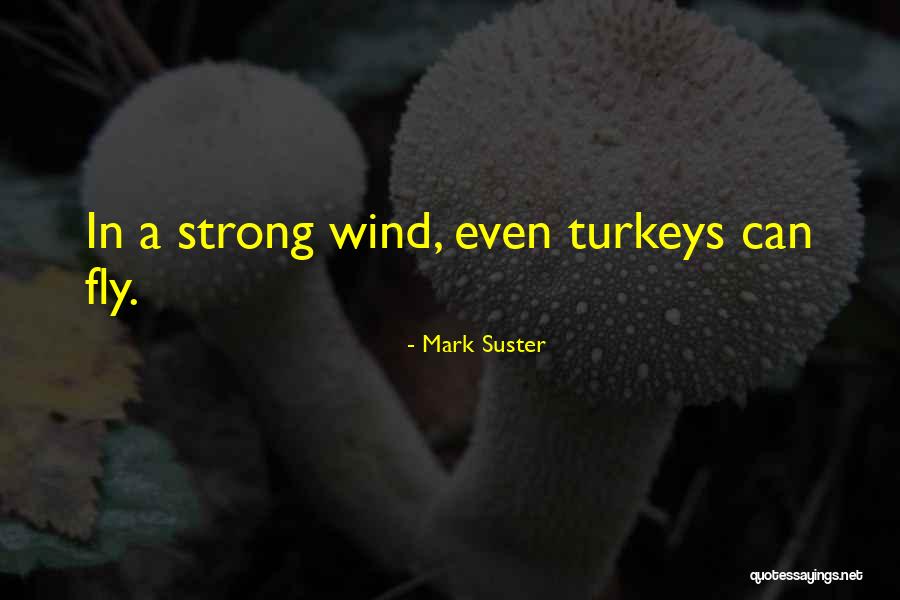 Turkeys Quotes By Mark Suster