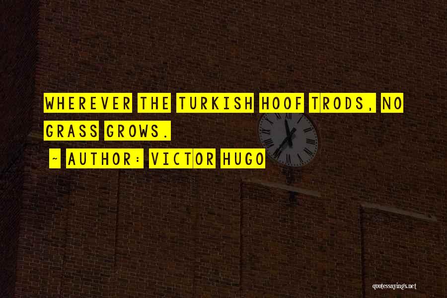 Turkish Quotes By Victor Hugo