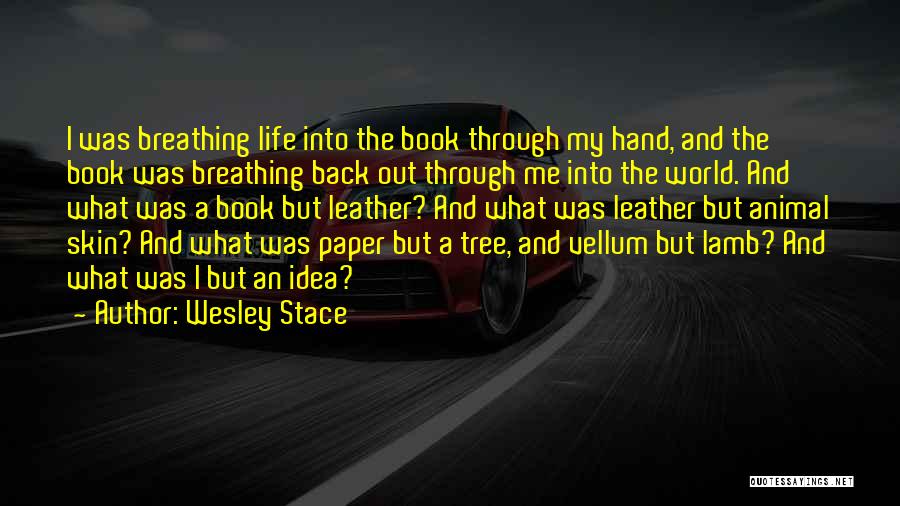 Turmoils Of Life Quotes By Wesley Stace