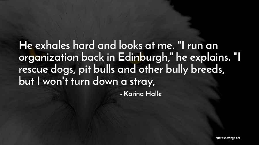 Turn Down Quotes By Karina Halle Turn Down Quotes By Karina Halle