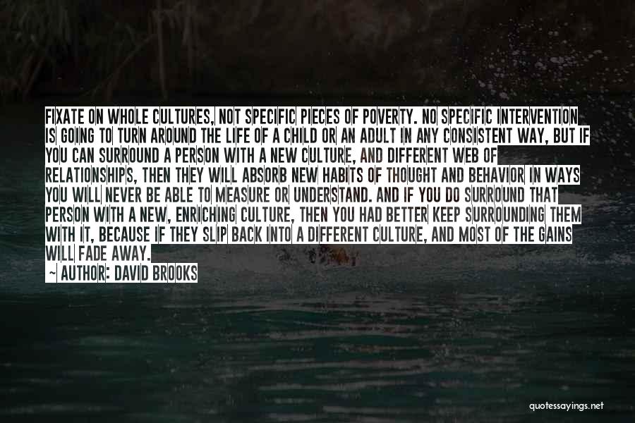 Turn Life Around Quotes By David Brooks