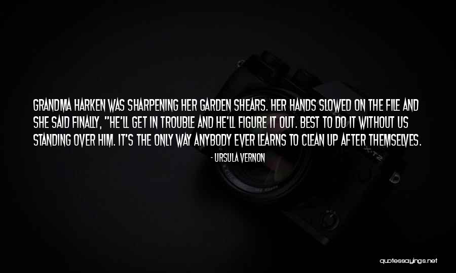 Turn Of Phrase Quotes By Ursula Vernon Turn Of Phrase Quotes By Ursula Vernon