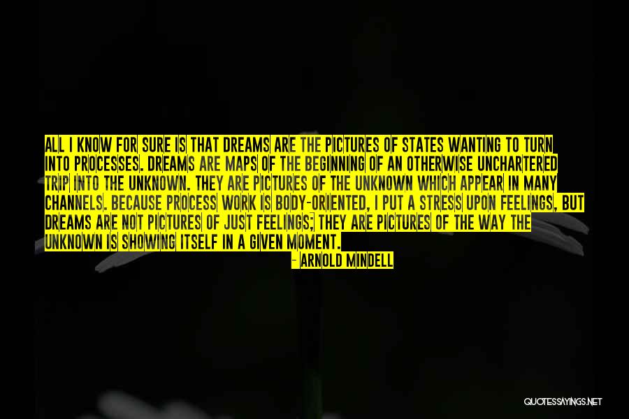 Turn Pictures Into Quotes By Arnold Mindell Turn Pictures Into Quotes By Arnold Mindell