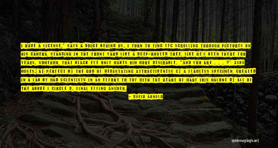 Turn Pictures Into Quotes By David Arnold Turn Pictures Into Quotes By David Arnold