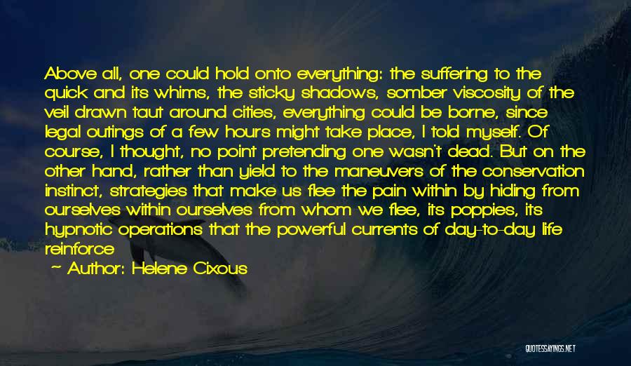 Turn The Day Around Quotes By Helene Cixous