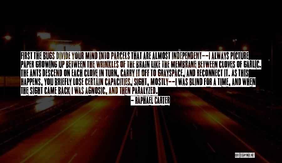 Turn Up Picture Quotes By Raphael Carter Turn Up Picture Quotes By Raphael Carter