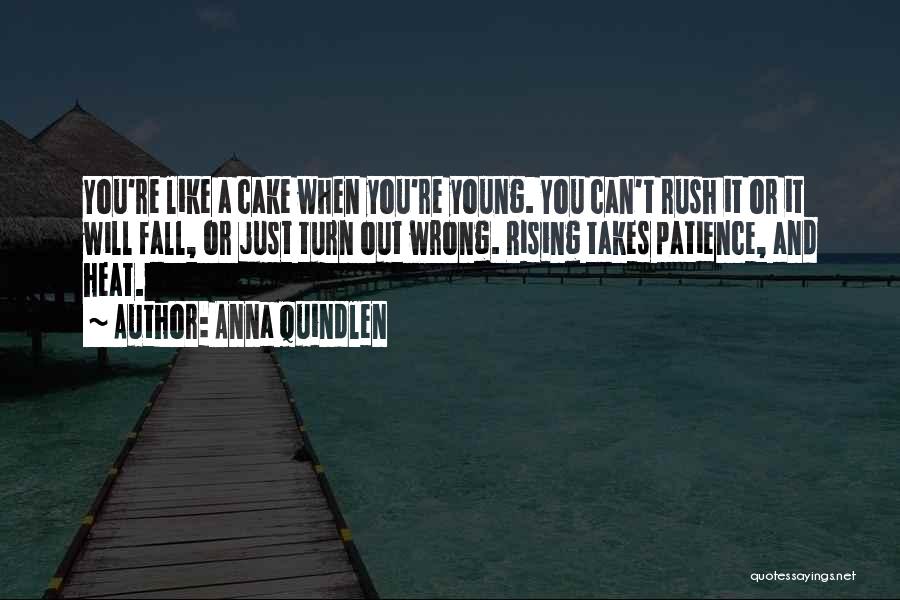 Turn Up The Heat Quotes By Anna Quindlen