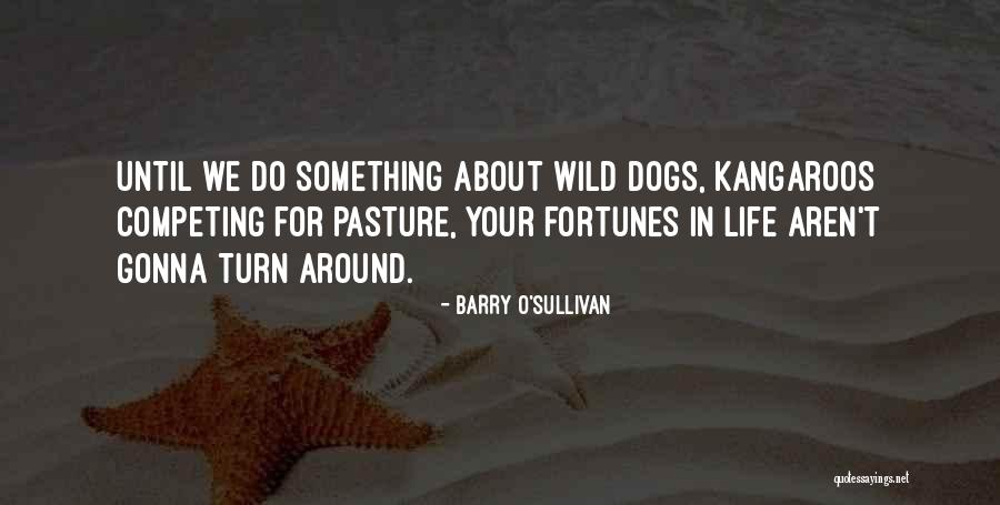 Turn Your Life Around Quotes By Barry O'Sullivan Turn Your Life Around Quotes By Barry O'Sullivan