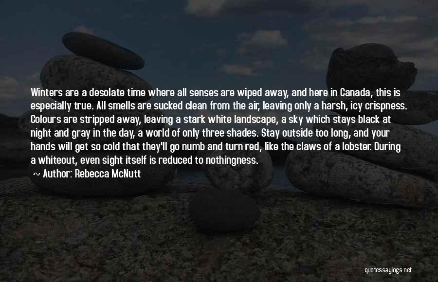 Turn Your World Quotes By Rebecca McNutt