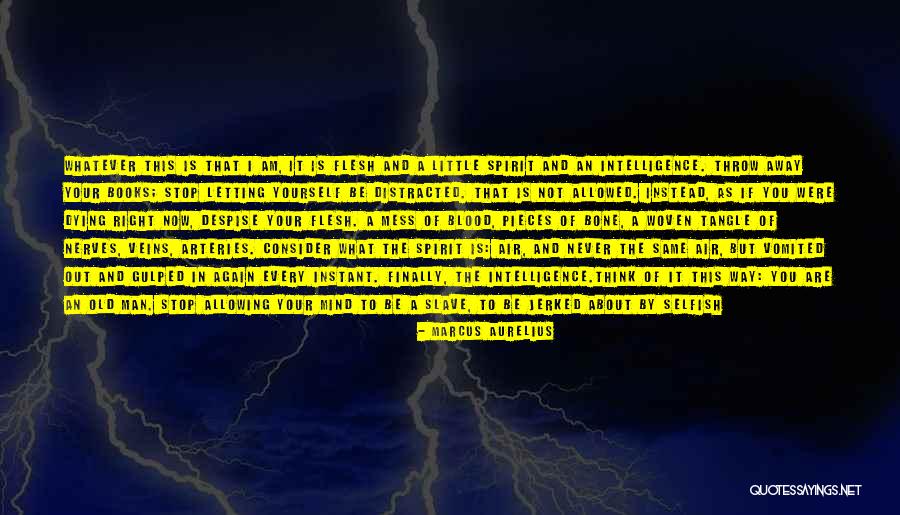 Turnbuckle For Screen Quotes By Marcus Aurelius Turnbuckle For Screen Quotes By Marcus Aurelius