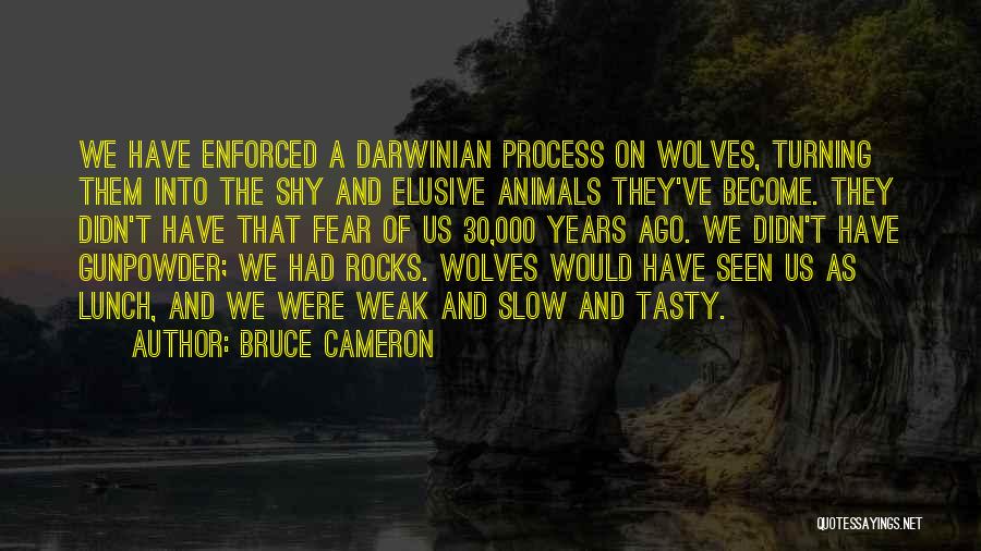 Turning 30 Quotes By Bruce Cameron