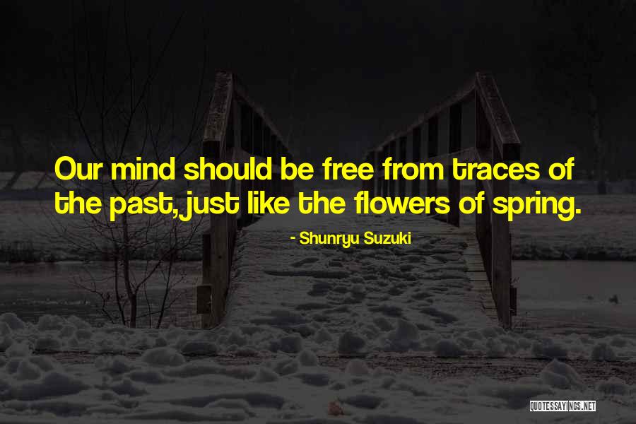 Turning 33 Years Old Quotes By Shunryu Suzuki Turning 33 Years Old Quotes By Shunryu Suzuki
