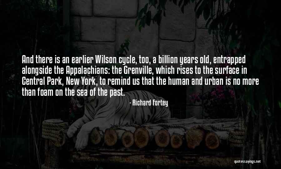 Turning 40 Movie Quotes By Richard Fortey Turning 40 Movie Quotes By Richard Fortey