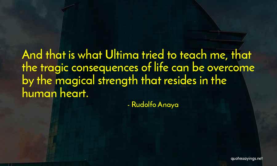 Turning Bad Into Good Quotes By Rudolfo Anaya Turning Bad Into Good Quotes By Rudolfo Anaya
