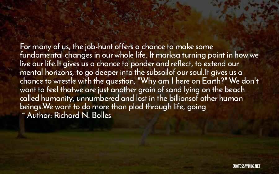 Turning Point Of Life Quotes By Richard N. Bolles