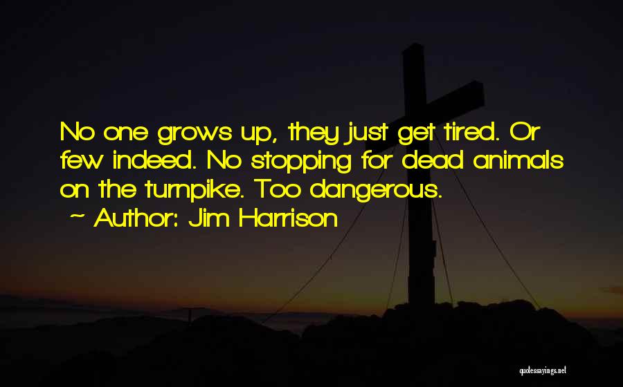Turnpike Quotes By Jim Harrison