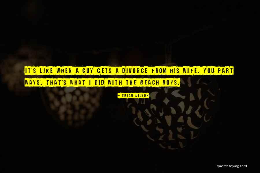 Turnquist Remedy Quotes By Brian Wilson Turnquist Remedy Quotes By Brian Wilson